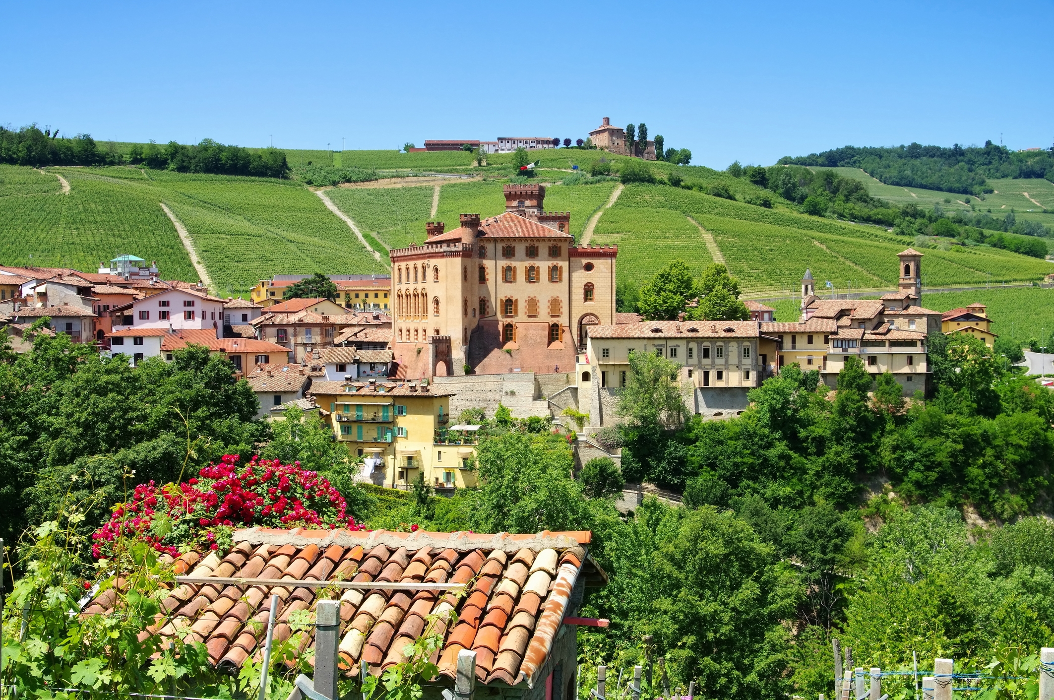 Vino Fantastico » Terre Alfieri ny DOCG i Piemonte »