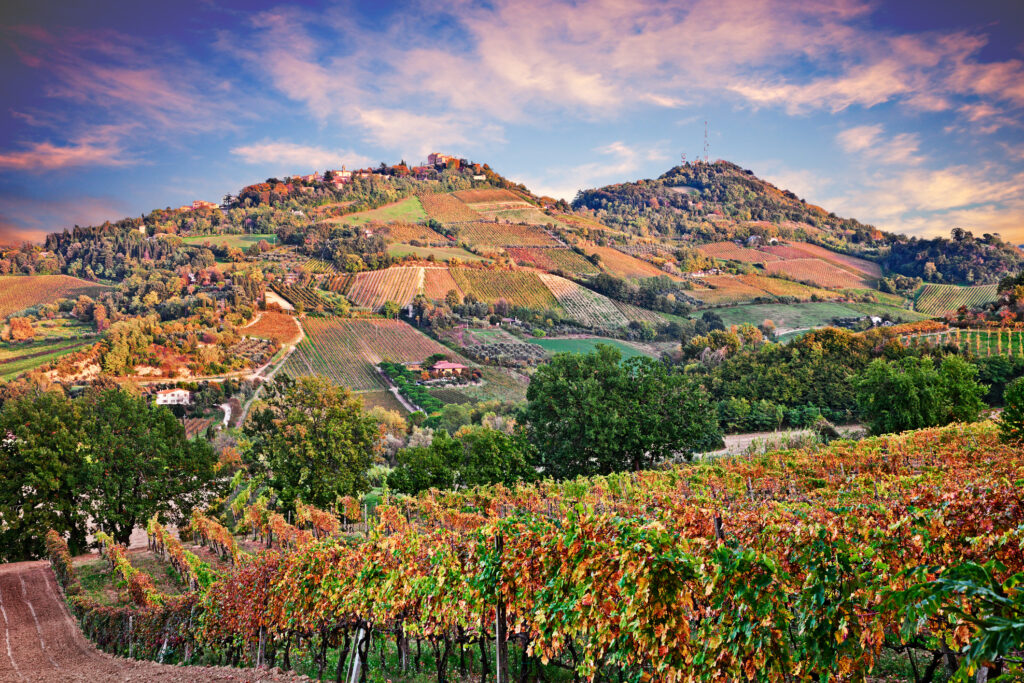 Vino Fantastico » Emilia-Romagna »