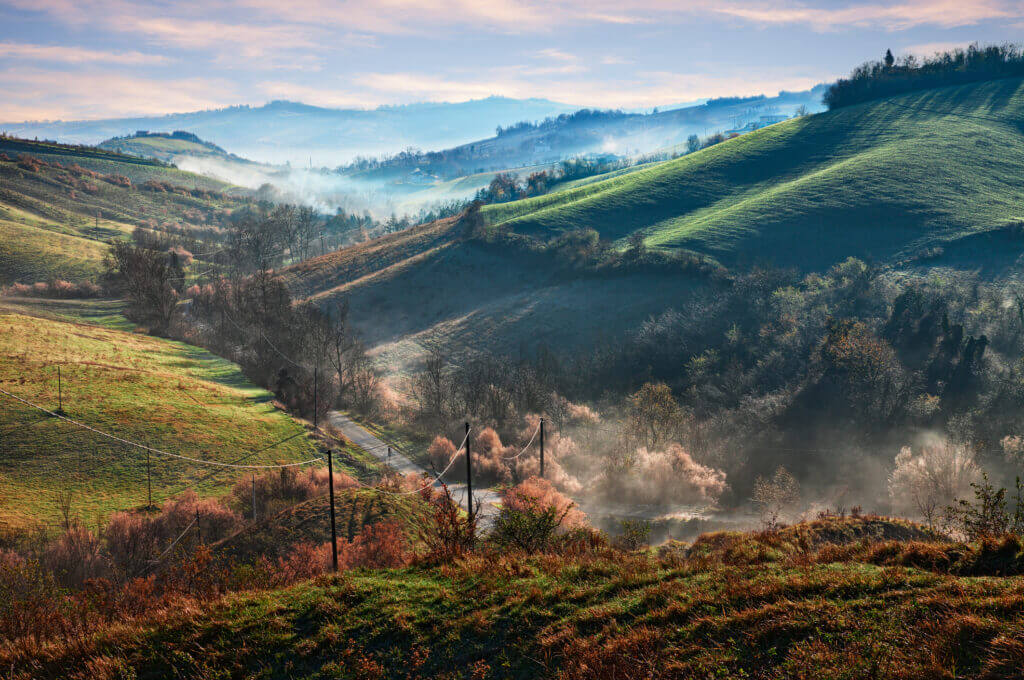 Vino Fantastico » Emilia-Romagna »