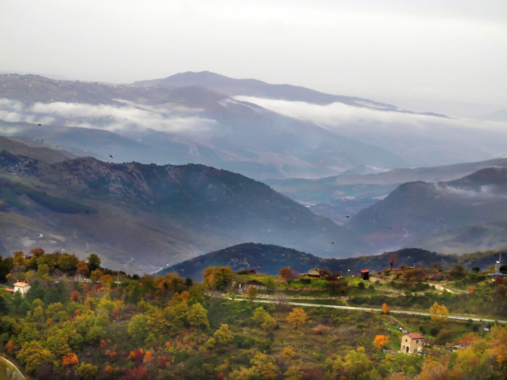 Vino Fantastico » Campania »