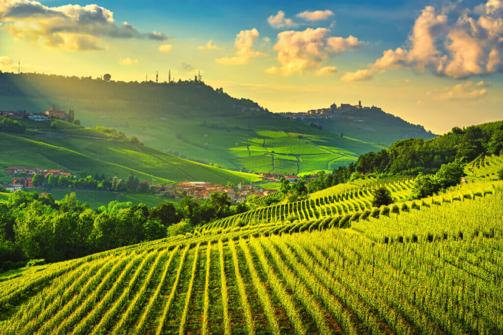 Vino Fantastico » Piemonte »