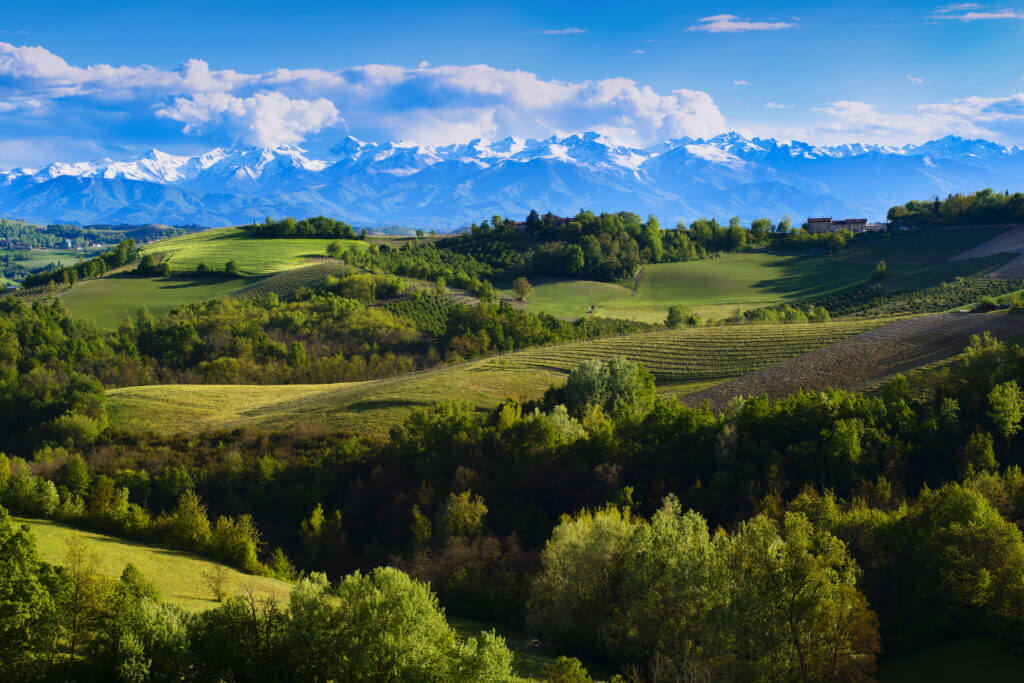 Vino Fantastico » Piemonte - Barolo DOCG »