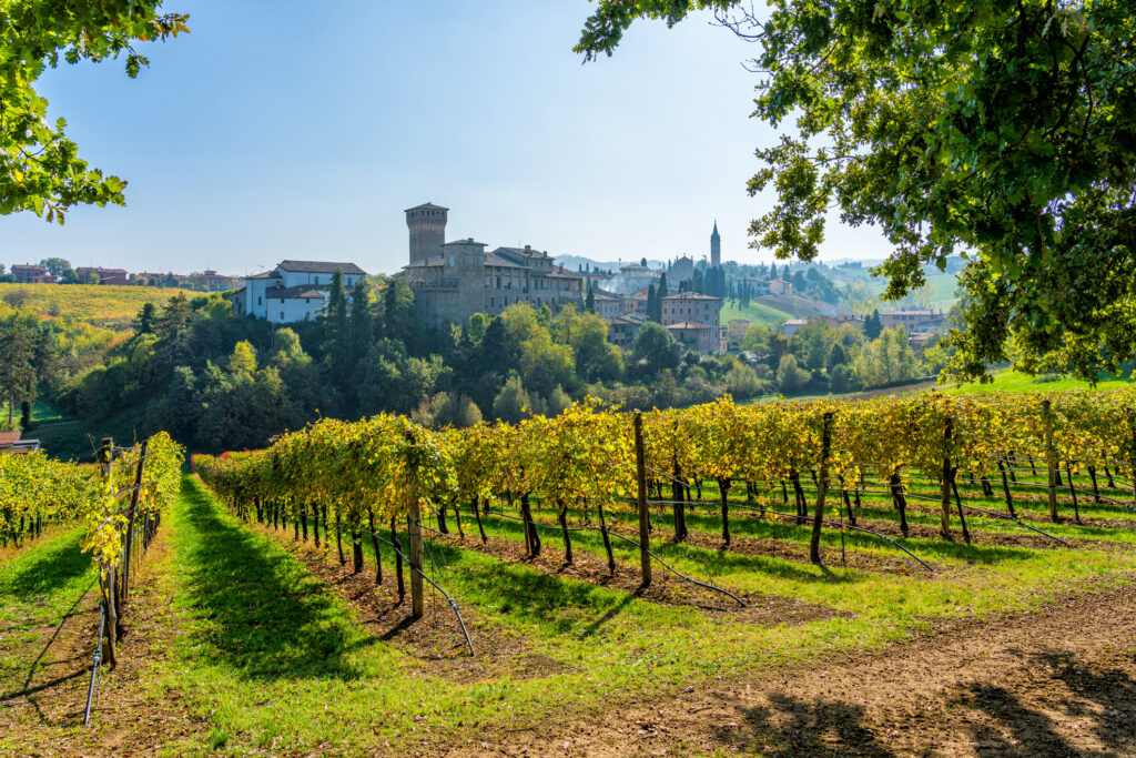 Vino Fantastico » Emilia-Romagna »