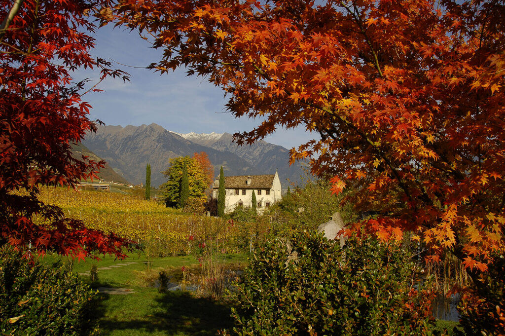 Vino Fantastico » Trentino-Alto Adige »