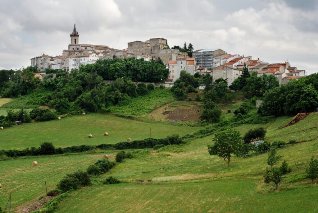 Vino Fantastico » Molise »