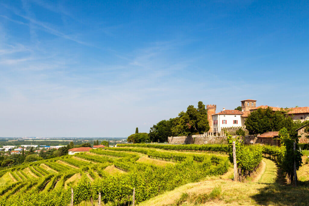 Vino Fantastico » Friuli-Venezia Giulia »