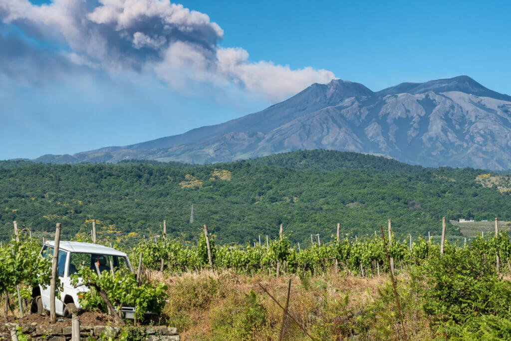 Vino Fantastico » Sicilien »