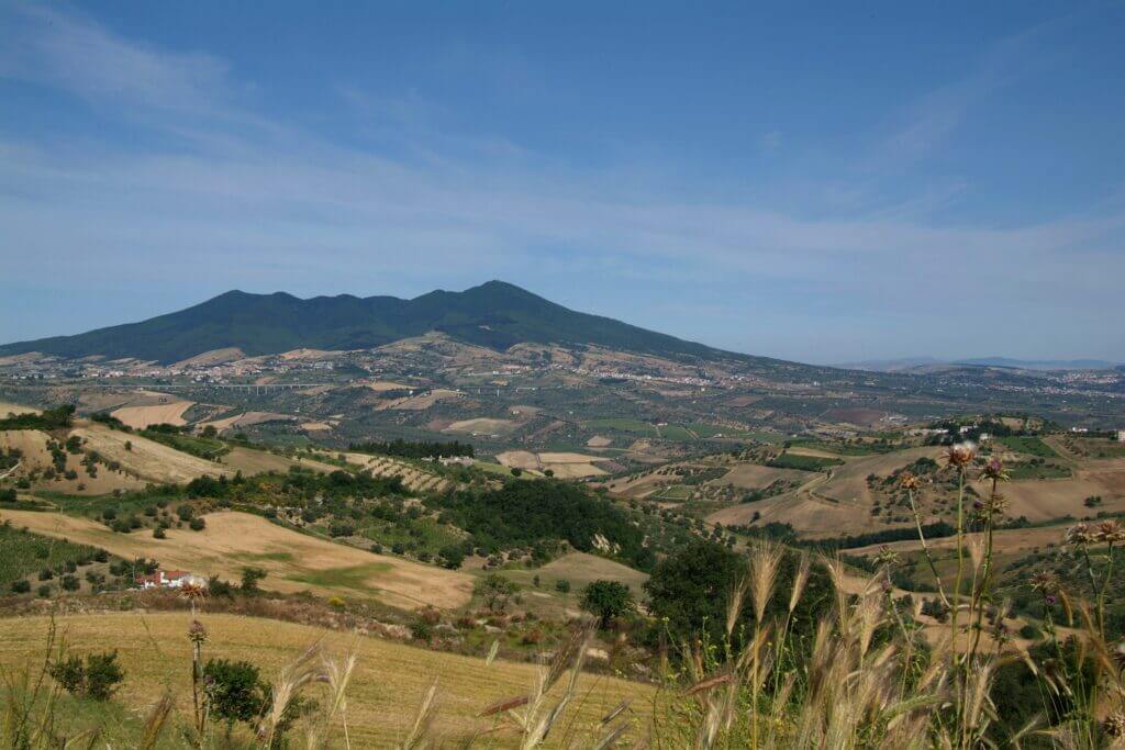 Vino Fantastico » Basilicata »