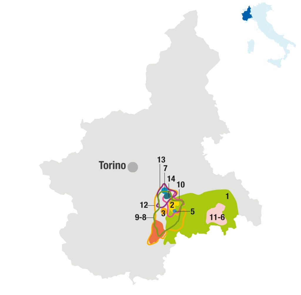 Vino Fantastico » Piemonte - Le Langhe »