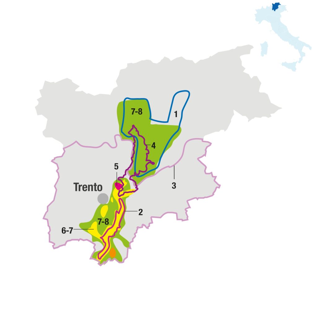 Vino Fantastico » Trentino DOC »