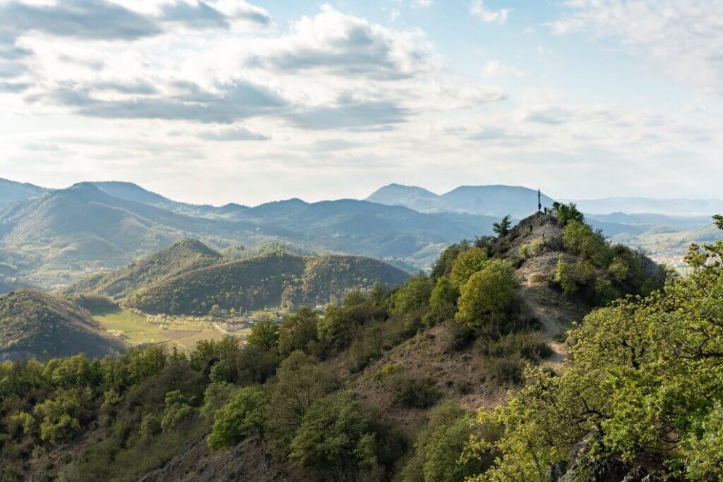 Vino Fantastico » Veneto »