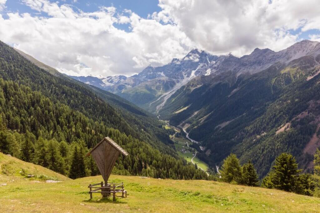 Vino Fantastico » Trentino-Alto Adige »