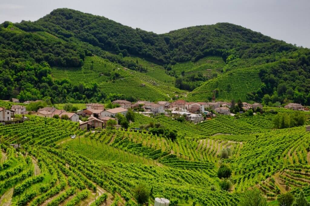 Vino Fantastico » Veneto »