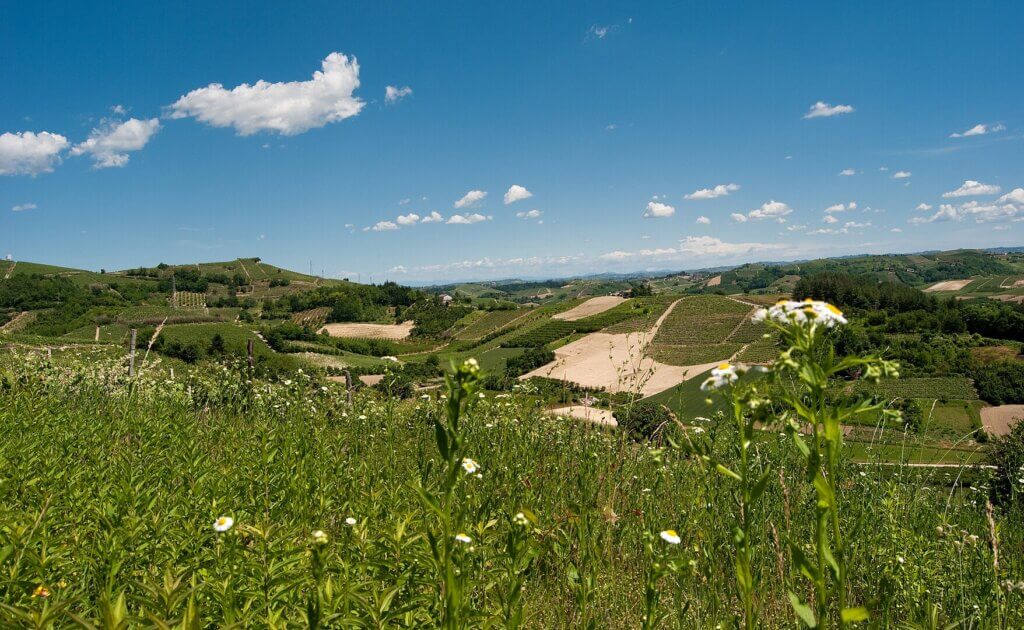 Vino Fantastico » Piemonte - Roero DOCG »