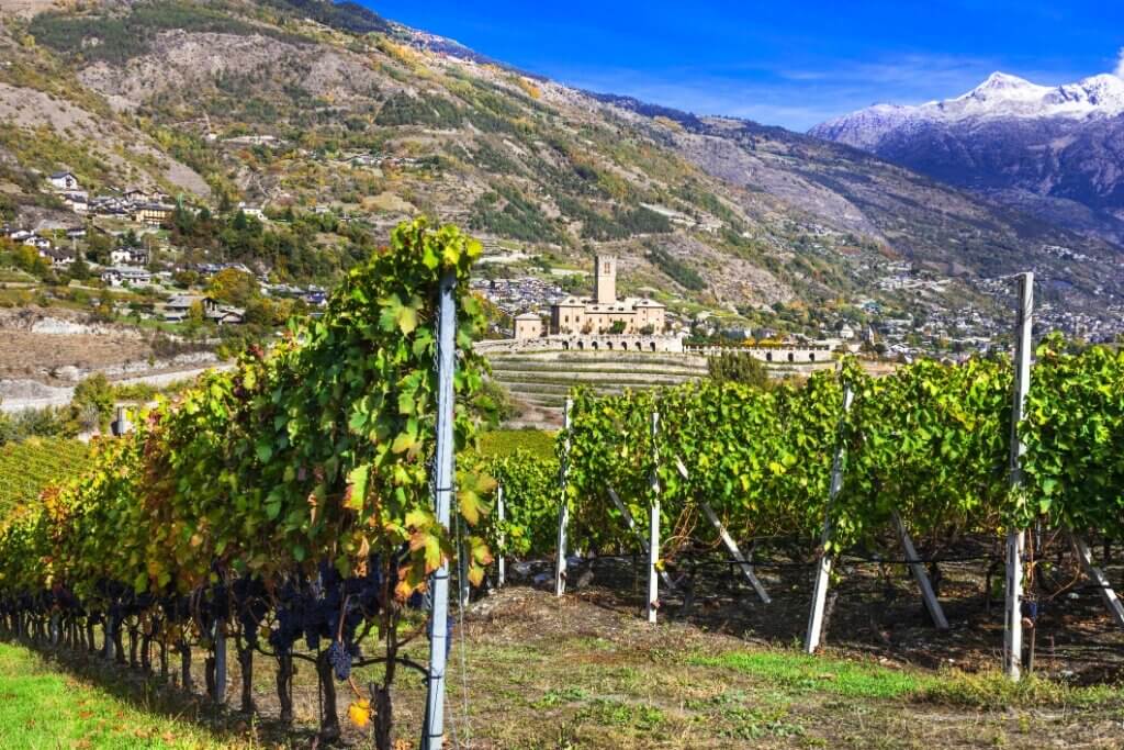 Vino Fantastico » Valle d'Aosta »