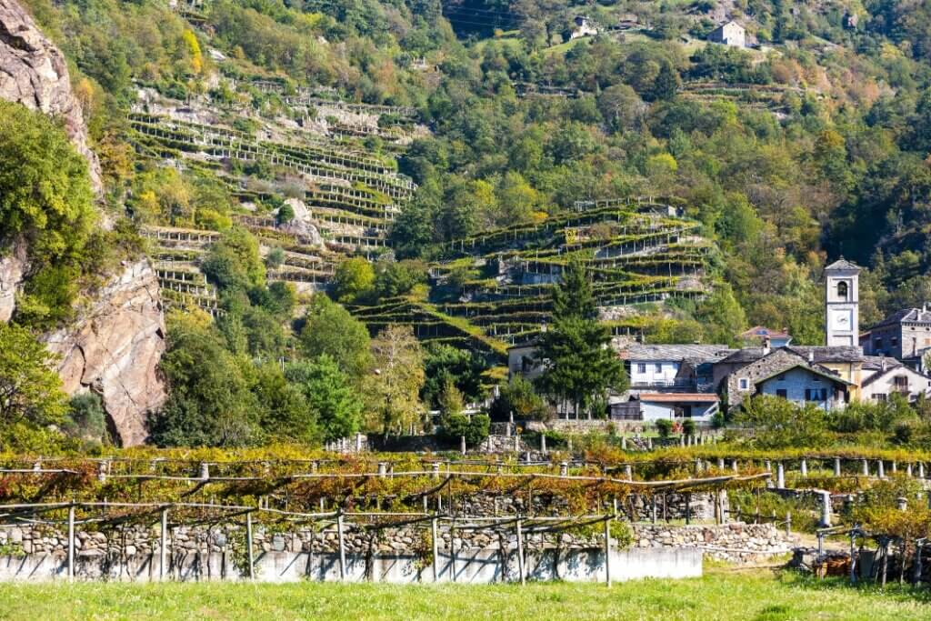 Vino Fantastico » Valle d'Aosta »