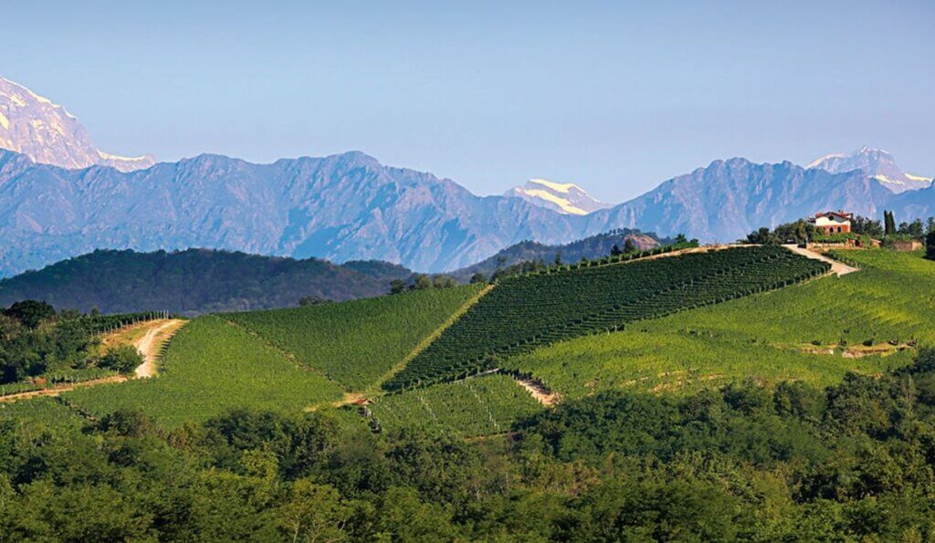 Vino Fantastico » Piemonte - il Nord »