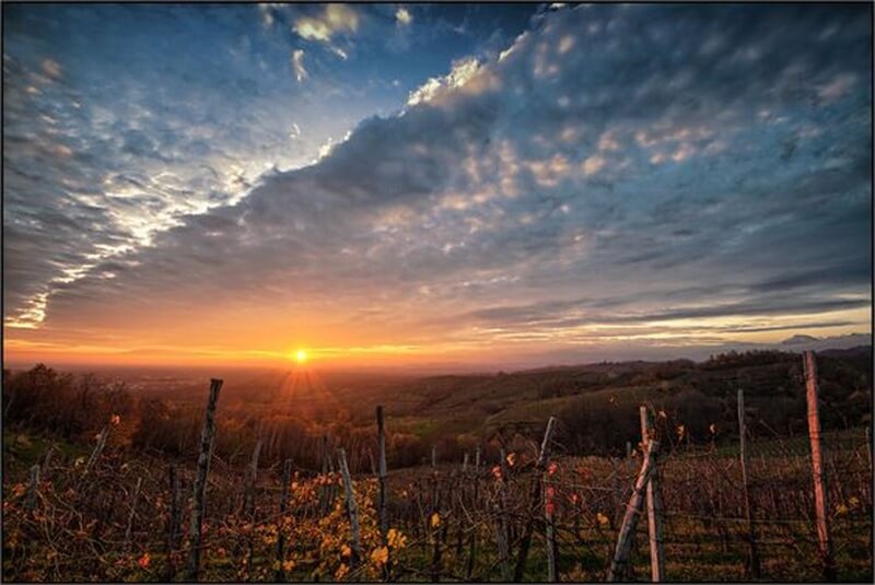 Vino Fantastico » Piemonte - il Monferrato »