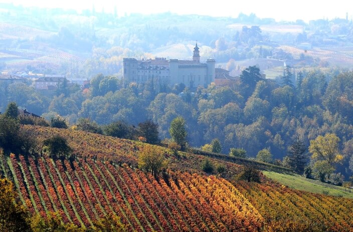 Vino Fantastico » Piemonte - L'Astigiano »