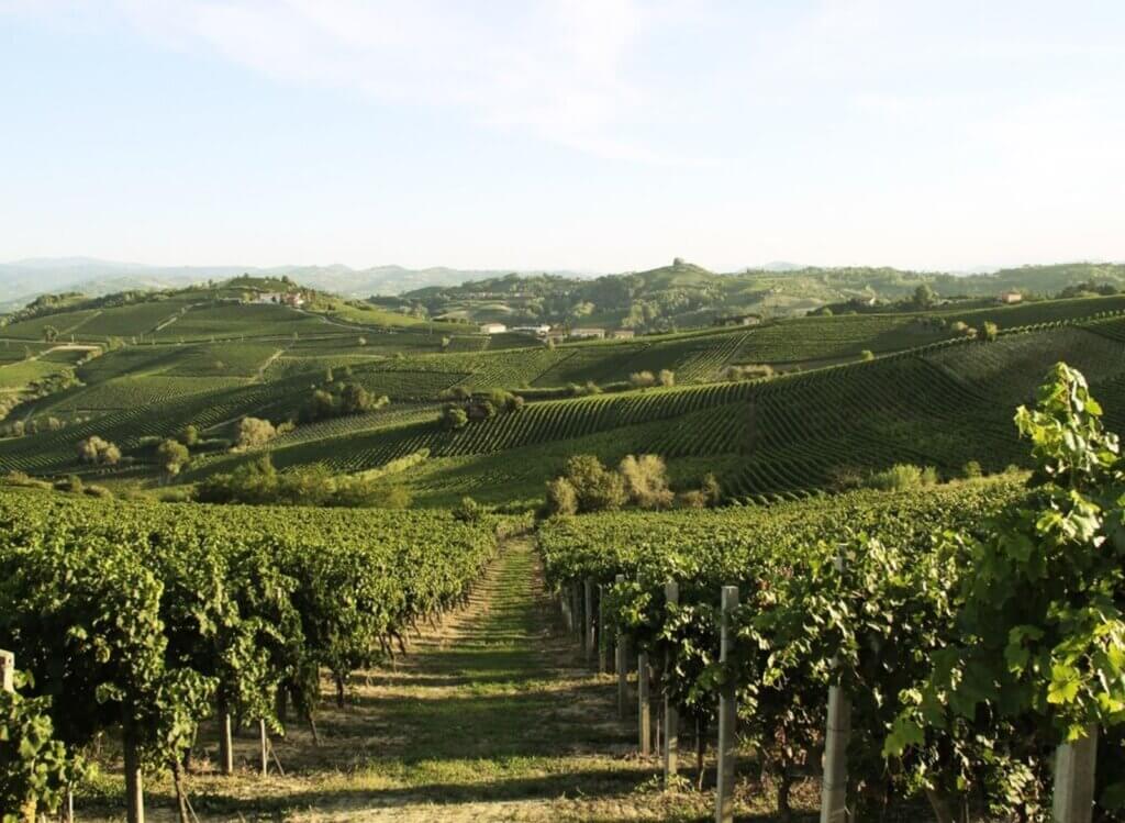 Vino Fantastico » Piemonte - L'Astigiano »