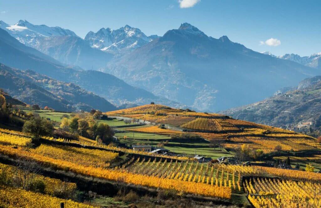 Vino Fantastico » Valle d'Aosta »