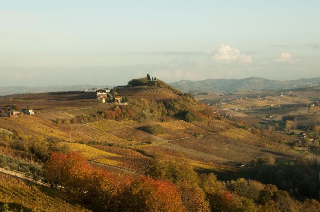 vinmarker i efterårsfarver