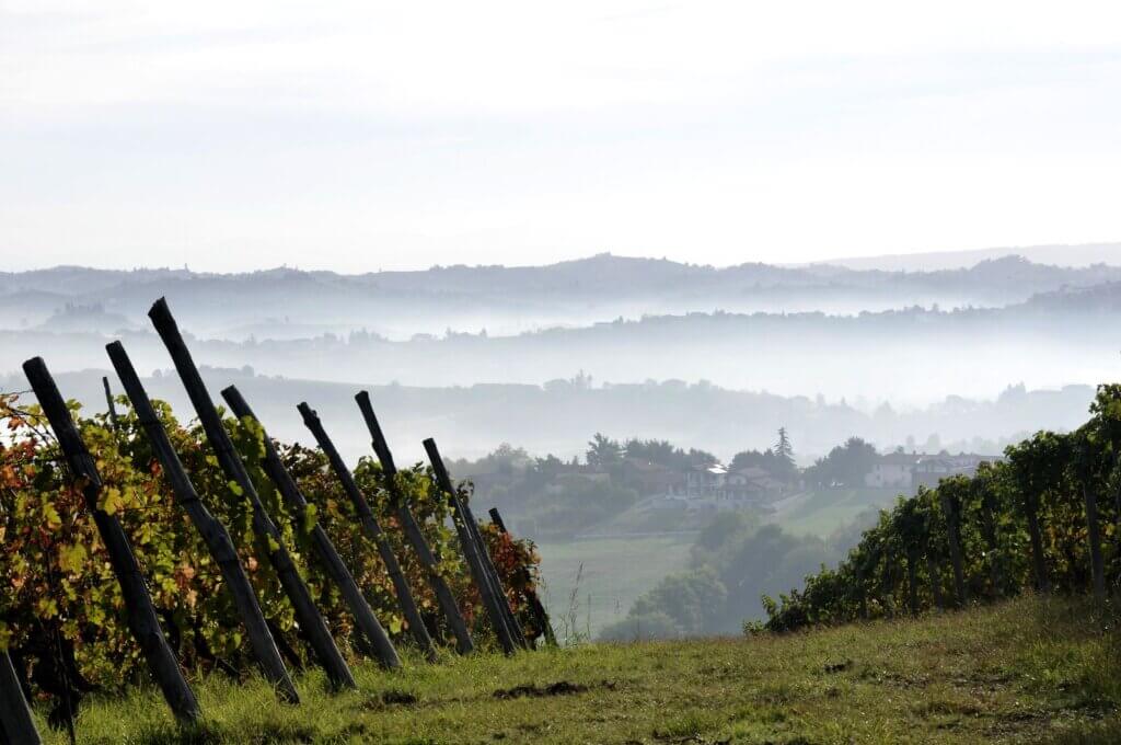 Vino Fantastico » Piemonte - Le Langhe »