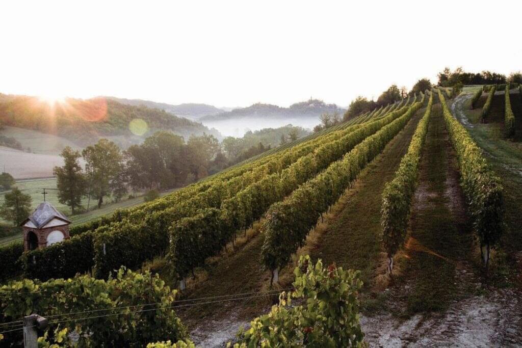 solopgang over vinmarker