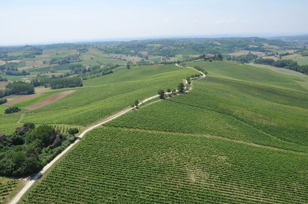 Vino Fantastico » Piemonte - L'Astigiano »