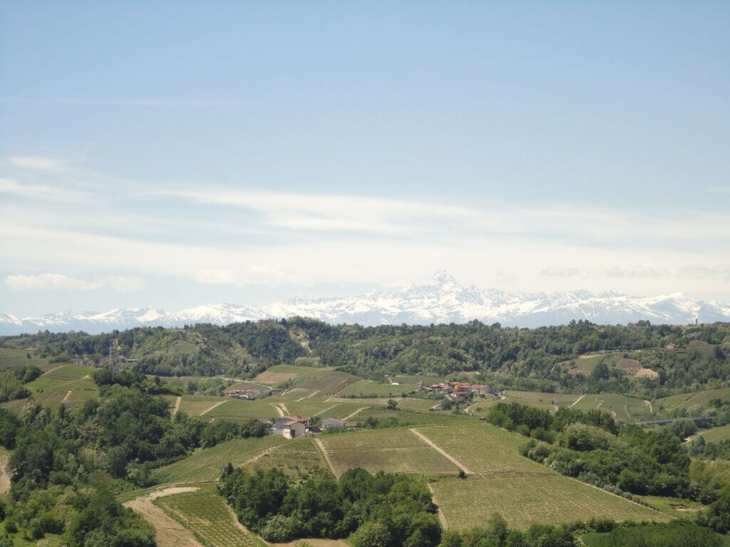 Vino Fantastico » Piemonte - Roero DOCG »