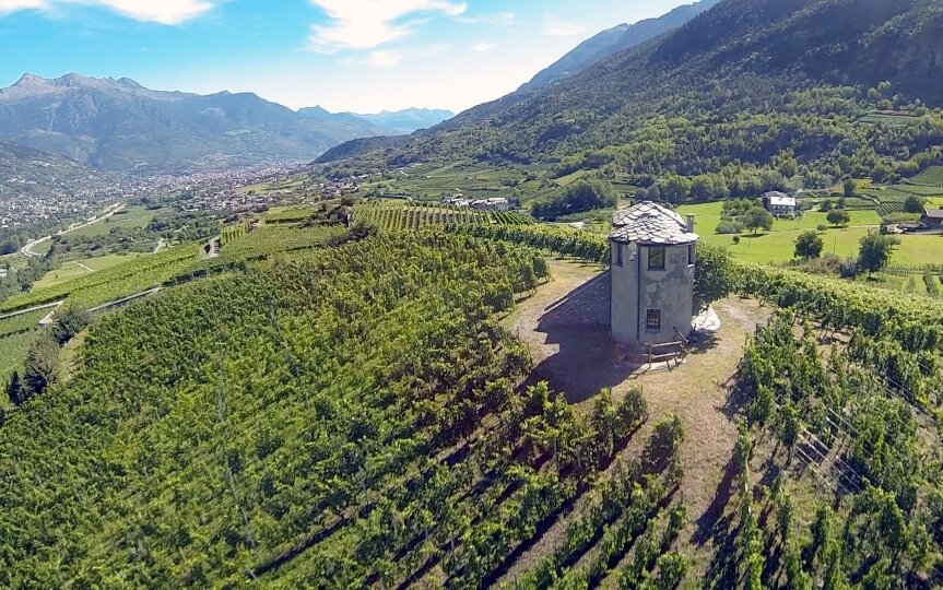 Vino Fantastico » Valle d'Aosta »