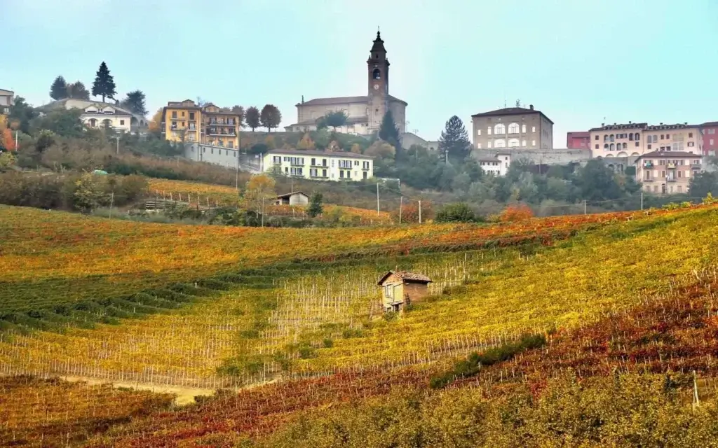 Efterårsmarker med Dolcetto-druer ved foden af Diano d'Alba i Piemont
